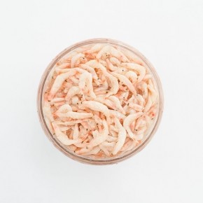 [영신식품] 새우젓, 100% 국내산 새우 오젓 5kg