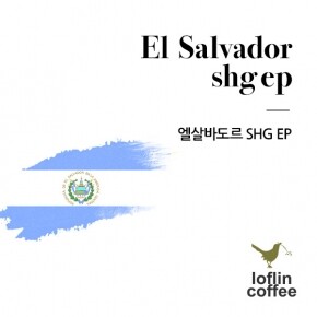 [로플린커피] 엘살바도르 SHG EP 원두, 200g